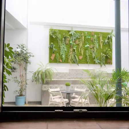 Apartment Sunshine Barroso Centro