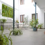 Sunshine Barroso Centro Appartement *
