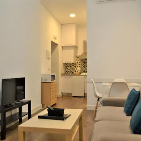 Apartment Sunshine Barroso Centro *