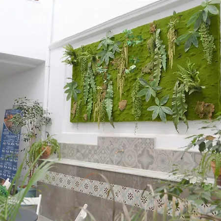 Apartment Sunshine Barroso Centro *