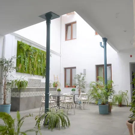 Apartment Sunshine Barroso Centro *