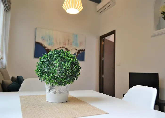 Sunshine Barroso Centro Córdoba